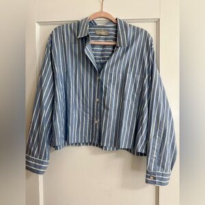 Everlane Cropped Boxy Oxford Shirt